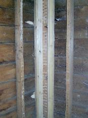 another 129 years? we hope so